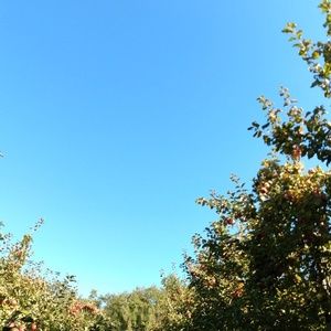 Meet your Posher, Ava